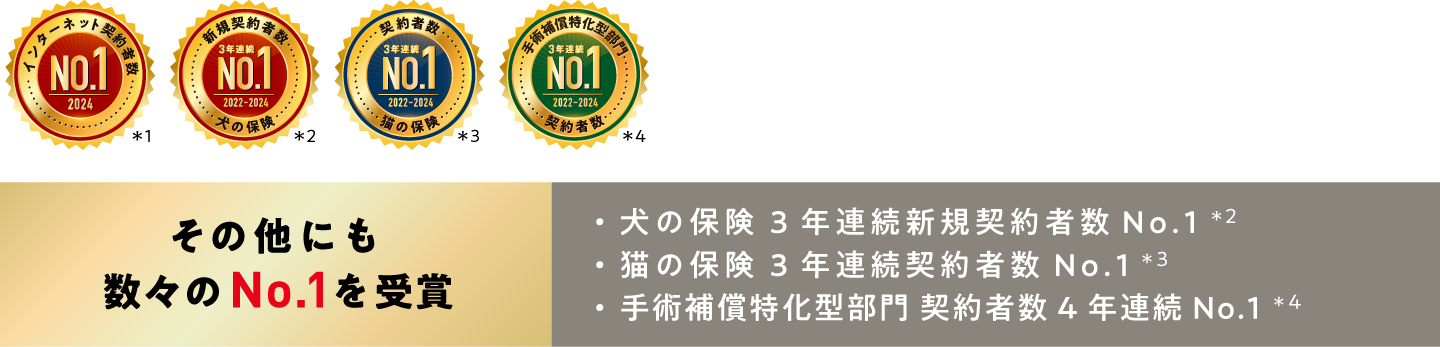 そのほかにも数々のNo.1を受賞